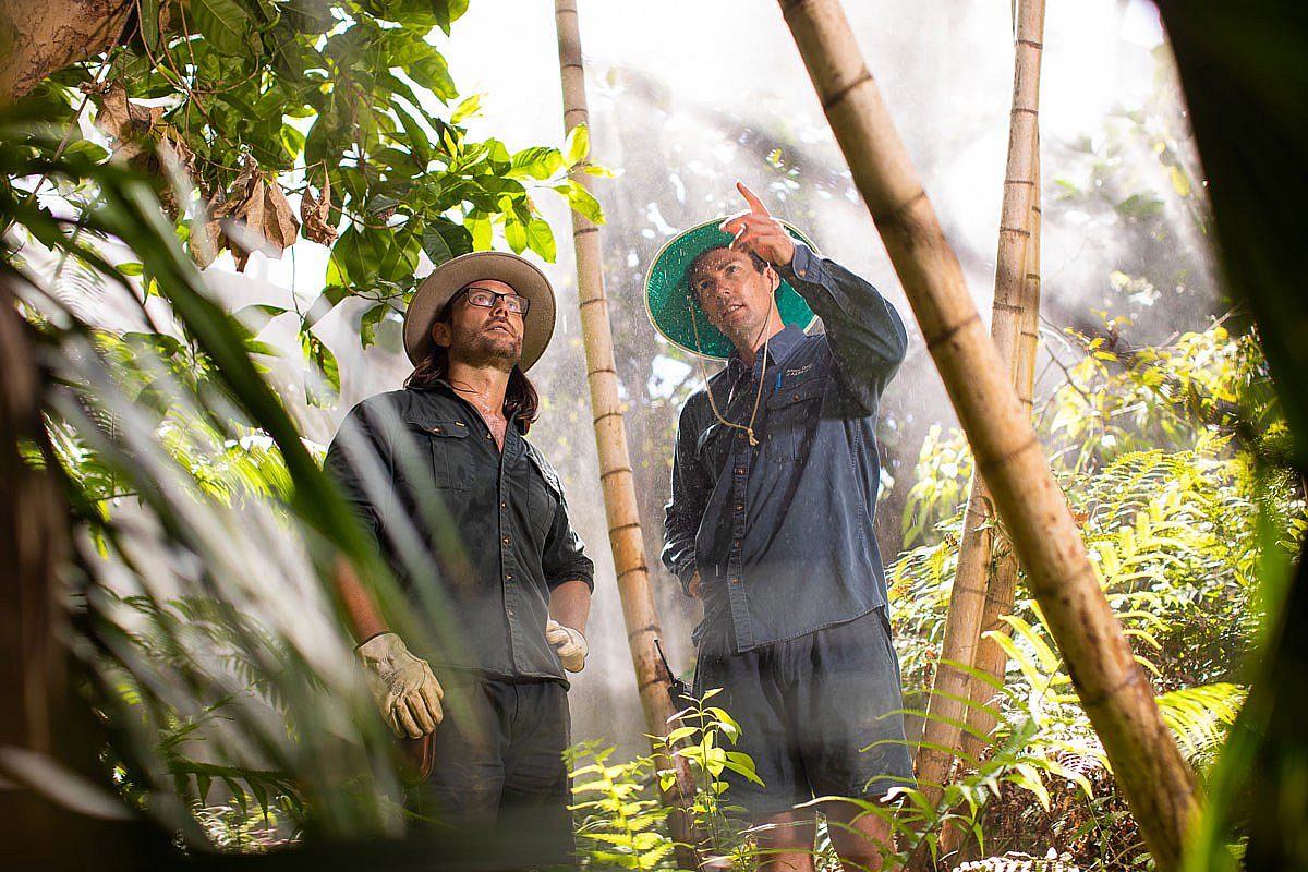 Horticulture apprentice with his trainer in rainforest setting